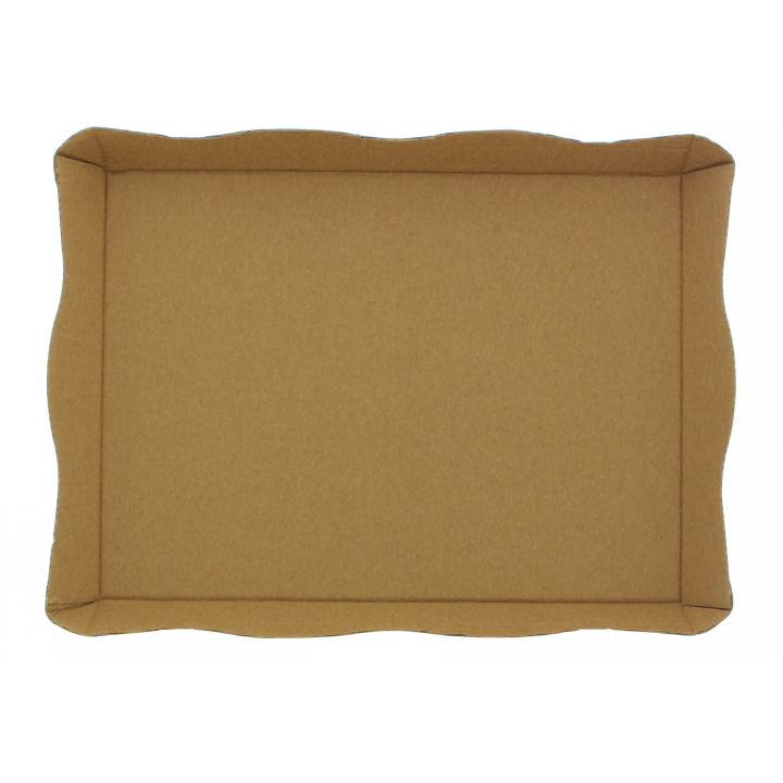 Cardboard Tray Fast Food Kraft 