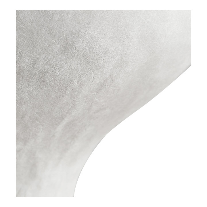 Sugarcane Bowl Wasara Biodegradable 350 ml (50 Units) 