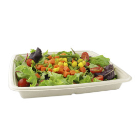 Sugarcane Container 1000ml 23x23x3cm (75 Units)  