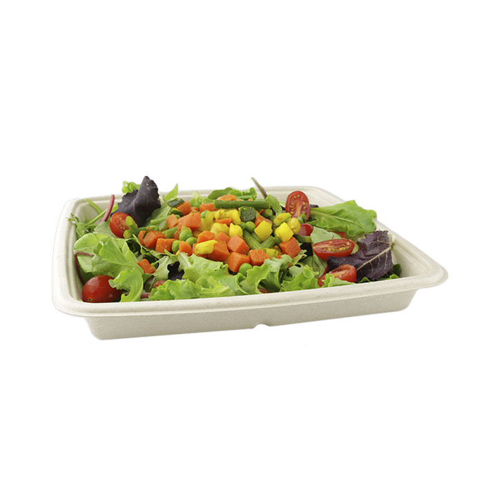 Sugarcane Container 1000ml 23x23x3cm (75 Units)  