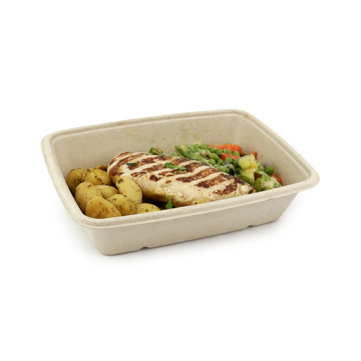 Sugarcane Container "Vision" 950ml 16,5x23x7cm (300 Units)