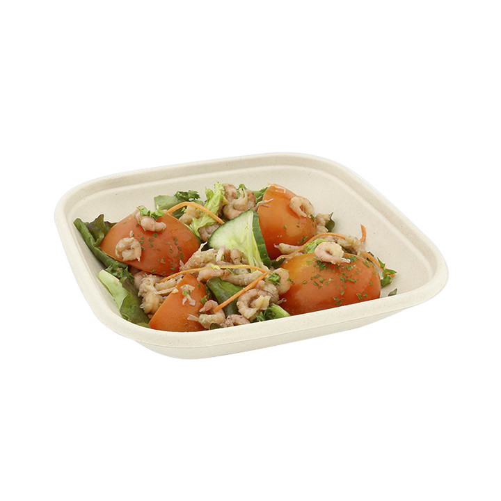 Sugarcane Bowl Natural Square Shape 2250ml 27cm(300 Units)