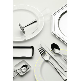 Plastic Plate Extra Rigid with Border Silver 15cm (200 Units)