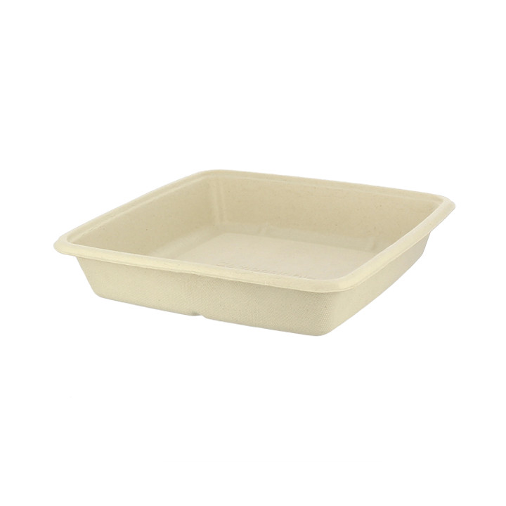 Sugarcane Container 1000ml 23x23x3cm (300 Units)