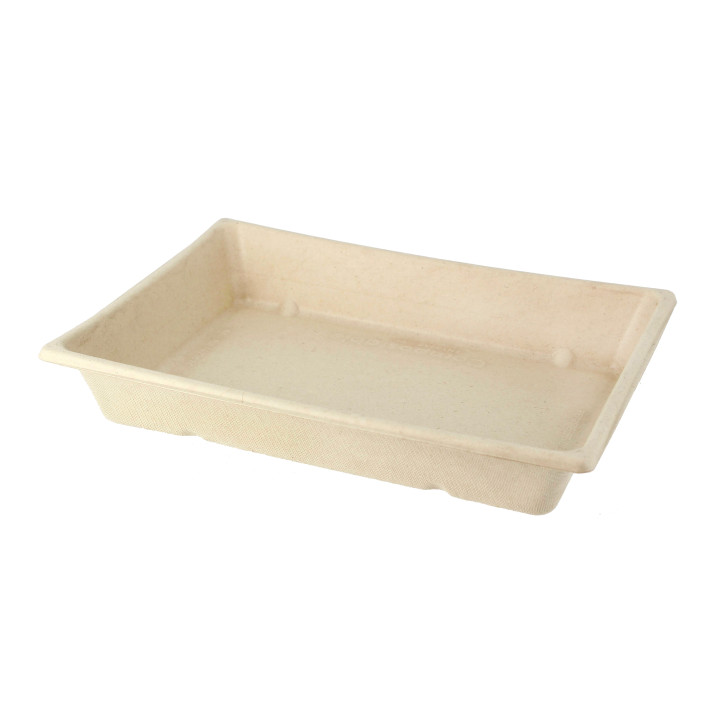 Sugarcane Tray 750ml 22x16x4cm (50 Units) 