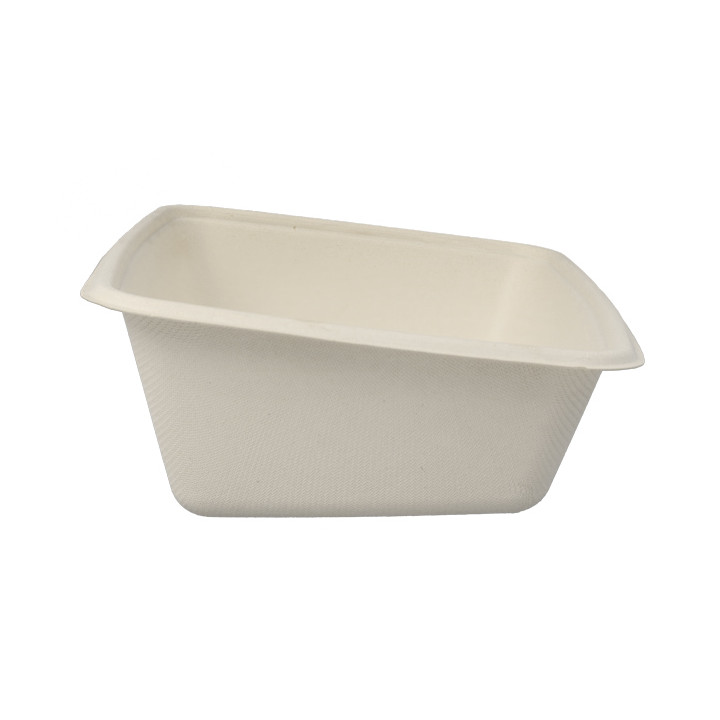 Sugarcane Container "Vision" 950ml 16,5x23x7cm 