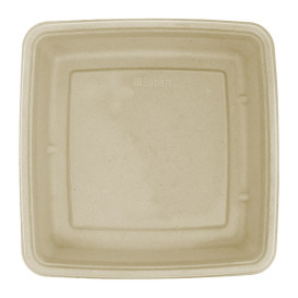 Sugarcane Container 1000ml 23x23x3cm (75 Units)  