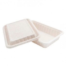 Sugarcane Container with Lid White 22,5x15x4cm (500 Units)