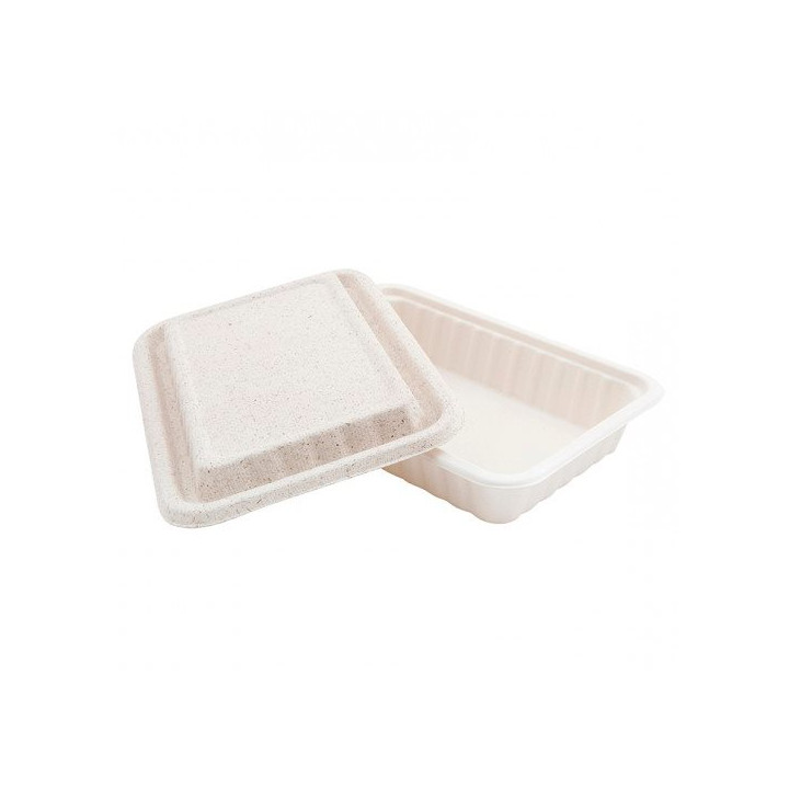 Sugarcane Container with Lid White 22,5x15x4cm (500 Units)
