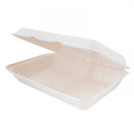 Sugarcane Hinged Container White 33,5x23x7,5cm (150 Units)