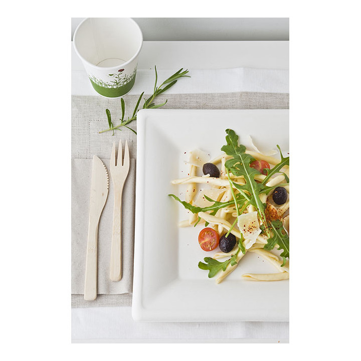 Sugarcane Plate Square shape White 20x20 cm (50 Units) 