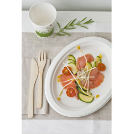 Sugarcane Tray White 26x19 cm (50 Units) 