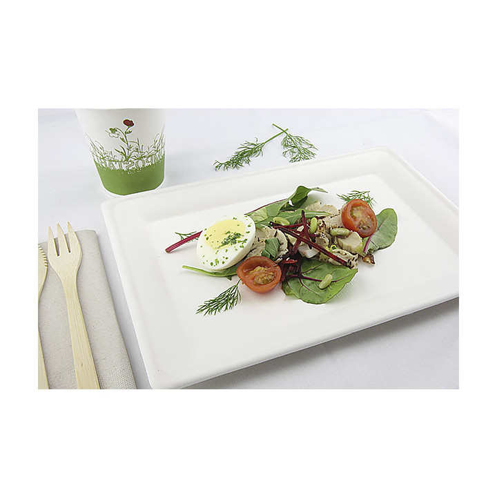 Sugarcane Tray White 20x28 cm (40 Units)