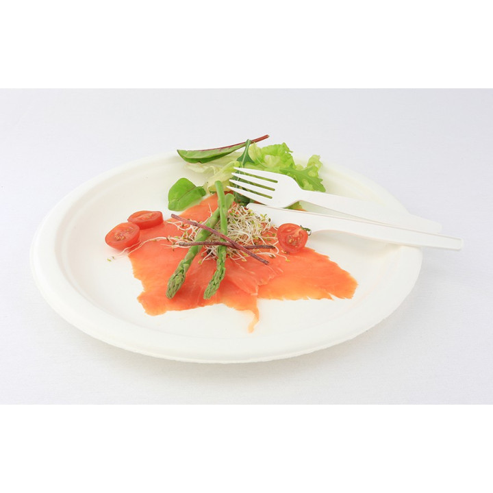 Cornstarch Knife PLA Biodegradable White 16cm (1000 Units)