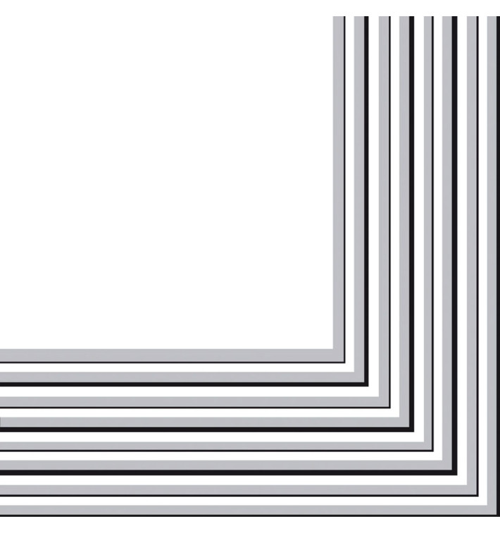 Paper Napkin 2 Layers Silver 33x33 cm (480 Units)