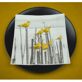 Airlaid Napkins "Albufera" 40x40cm (600 Units)