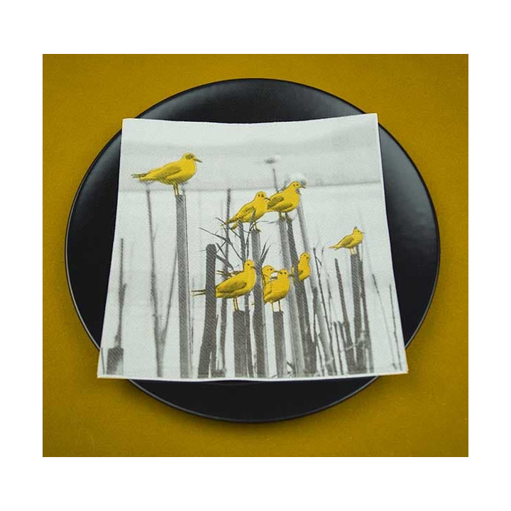 Airlaid Napkins "Albufera" 40x40cm (50 Units) 