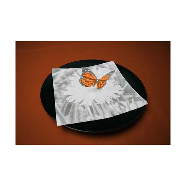 Paper Napkin Double Point "Margas" 40x40cm (50 Units) 
