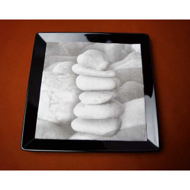 Paper Napkin Double Point "Zen" 40x40cm (600 Units)
