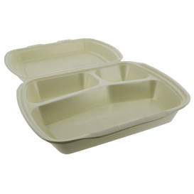 Foam Lunch Box 3 Compartments Champagne 2,40x2,10x0,70cm (125 Units)  
