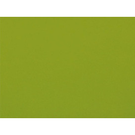 Airlaid Placemat Pistachio 30x40cm (150 Units)  