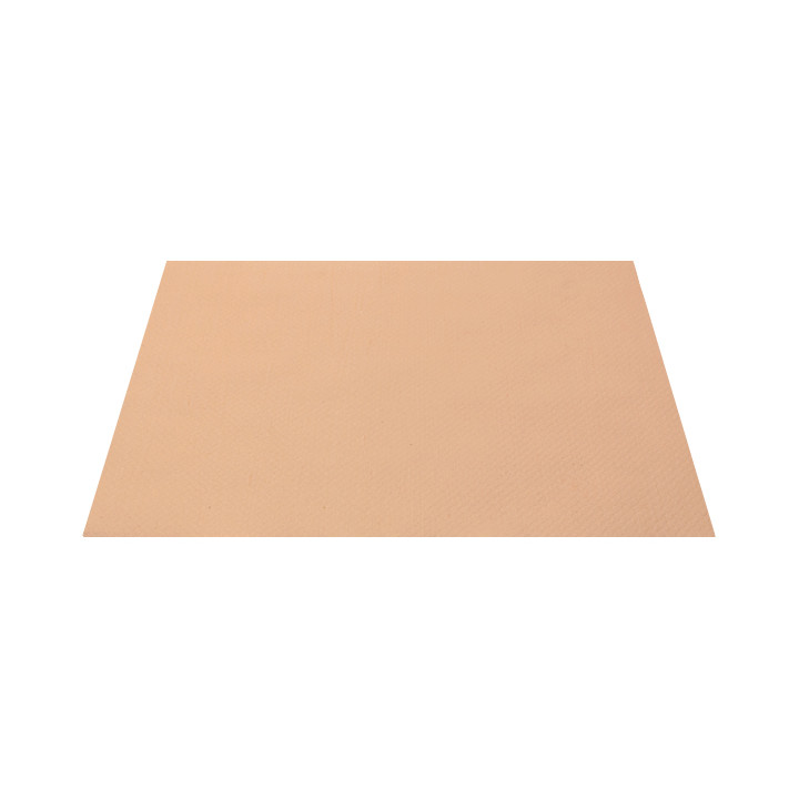 Paper Placemats 30x40cm Salmon 40g (1000 Units) 