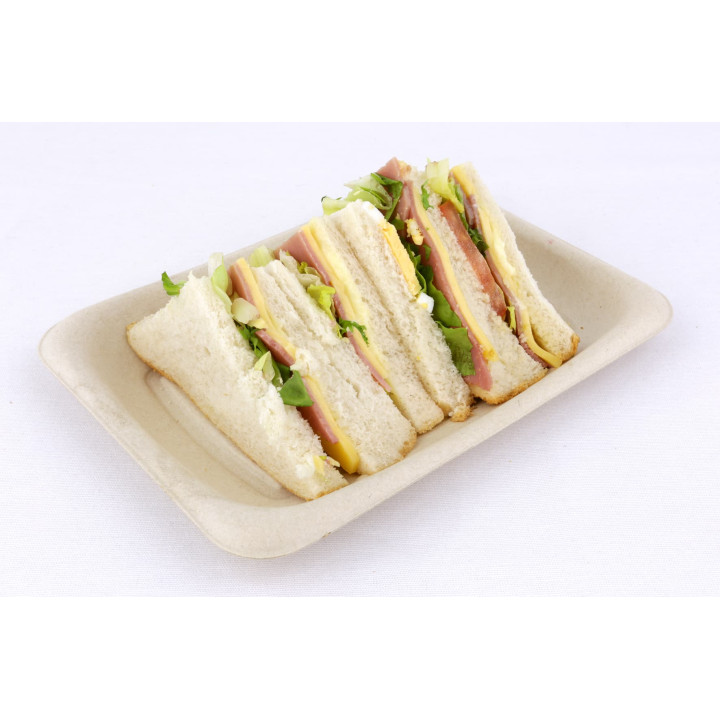 Sugarcane Baguette Container 20x14cm (50 Units) 