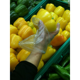 Plastic Gloves Coarse PE Clear Block (100 Units)