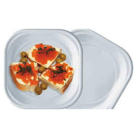 Plastic Plate PS PS Square shape White 20x20 cm (50 Units) 