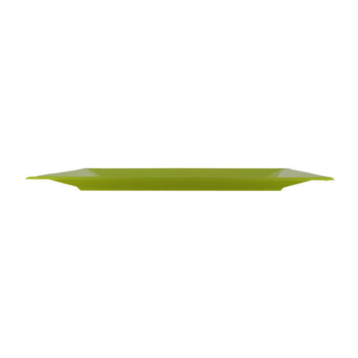 Plastic Tray Pistachio 33x22,5cm (750 Units)