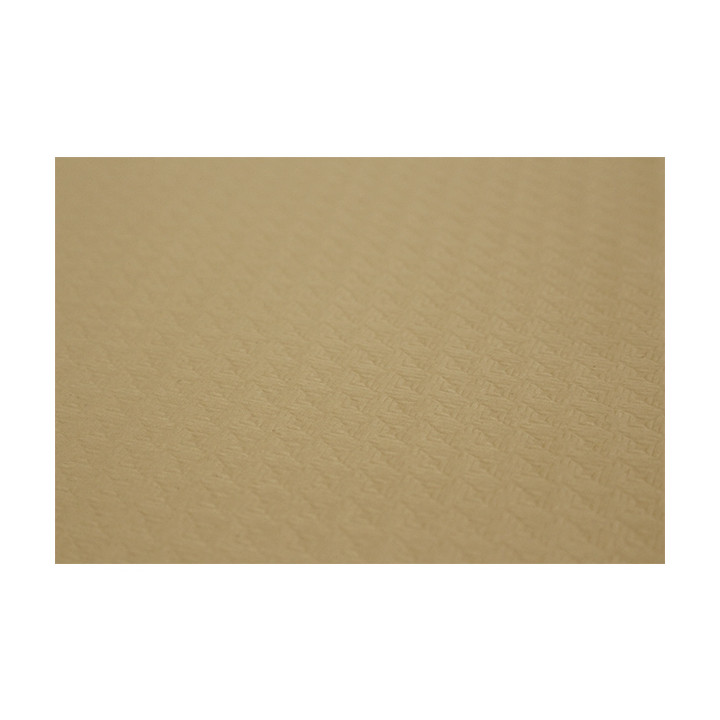 Paper Tablecloth Roll Eco Kraft 1x100m. 40g (1 Unit) 
