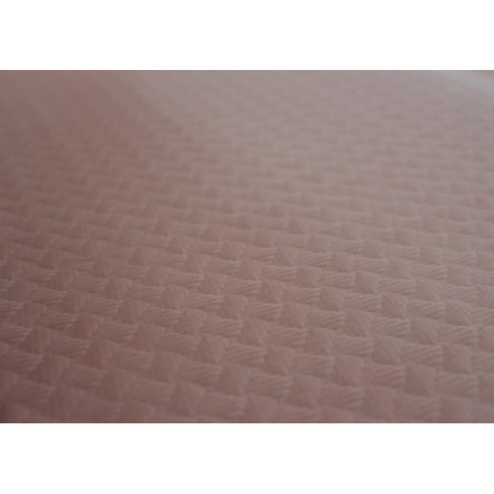 Pre-Cut Paper Tablecloth Salm (400 Units) on 40g 1x1m (400 Units)  
