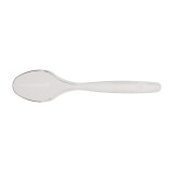 Plastic Teaspoon PS Clear 12cm (40 Units) 