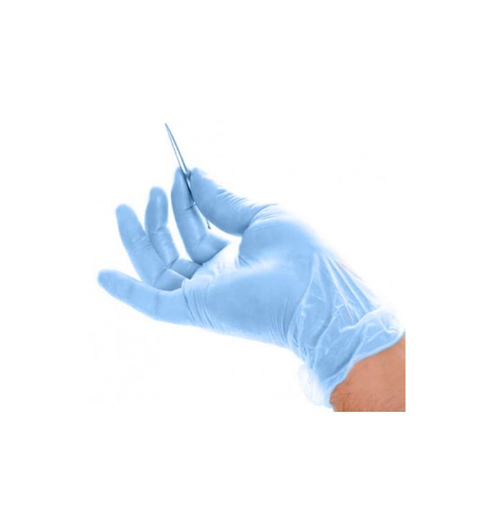 Vinyl Gloves Blue Size L (1000 Units)