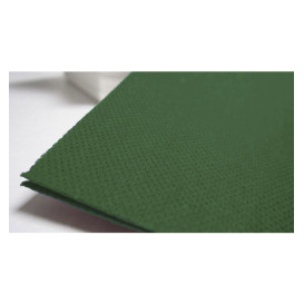 Paper Napkin Double Point Green 40x40cm (1.200 Units)