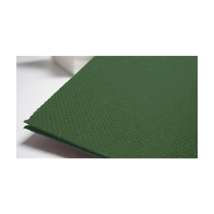 Paper Napkin Double Point Green 40x40cm (1.200 Units)