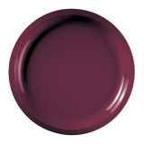 Plastic Plate Burgundy "Round" PP Ø29 cm (25 Units) 