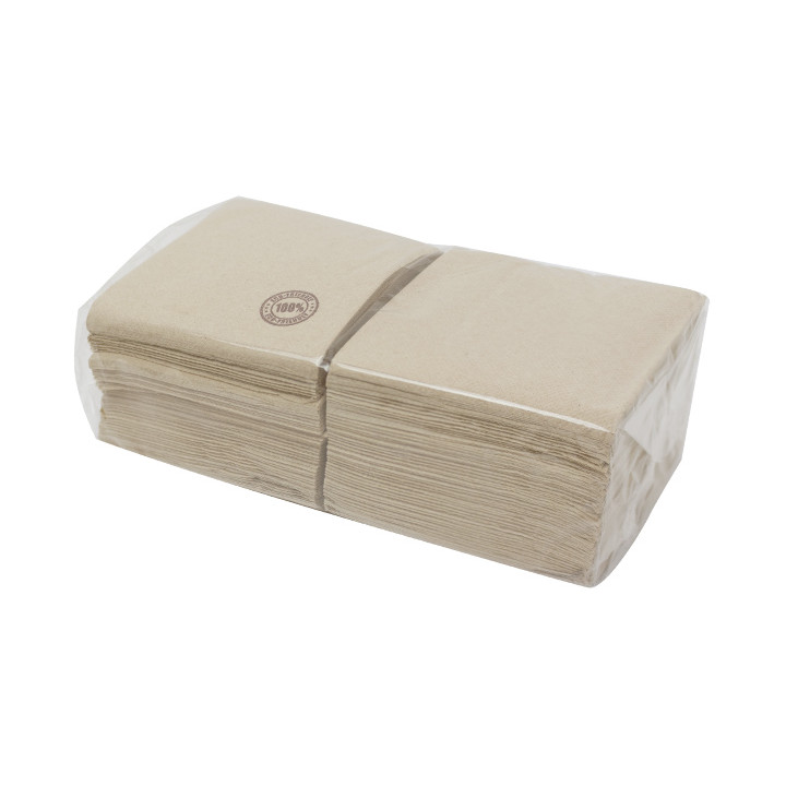 Paper Napkin Eco "Recycled" 33x33cm 2C P-P (50 Units)
