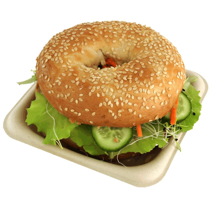 Sugarcane Food Container 14x14cm (300 Units)