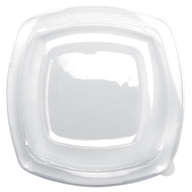 Plastic Lid Clear for Plate Square shape PET 23 cm (300 Units)