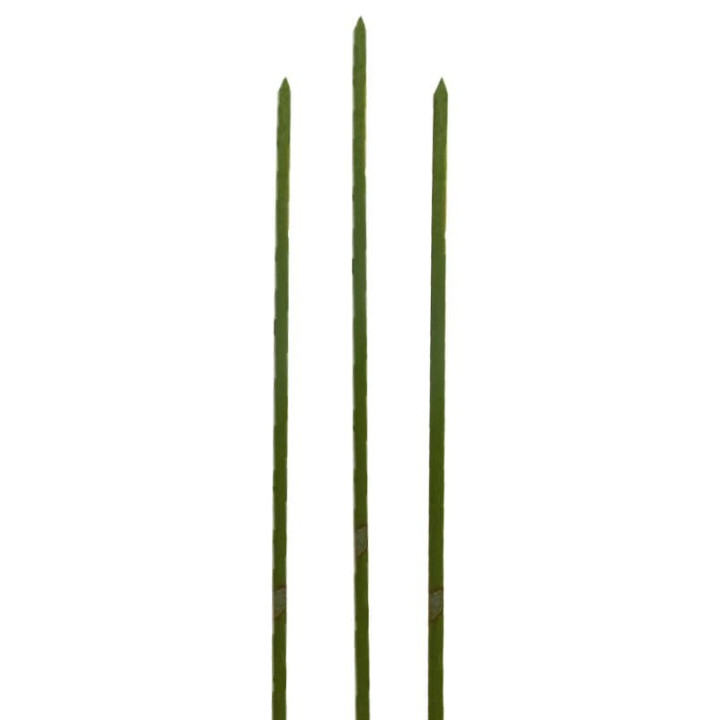 Bamboo Food Pick Natural Green 18cm (5000 Units)