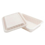 Sugarcane Container with Lid White 22,5x15x4cm (50 Units)