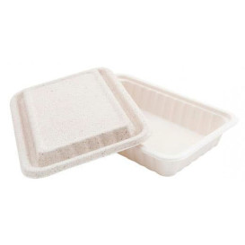 Sugarcane Container with Lid White 22,5x15x4cm (50 Units)
