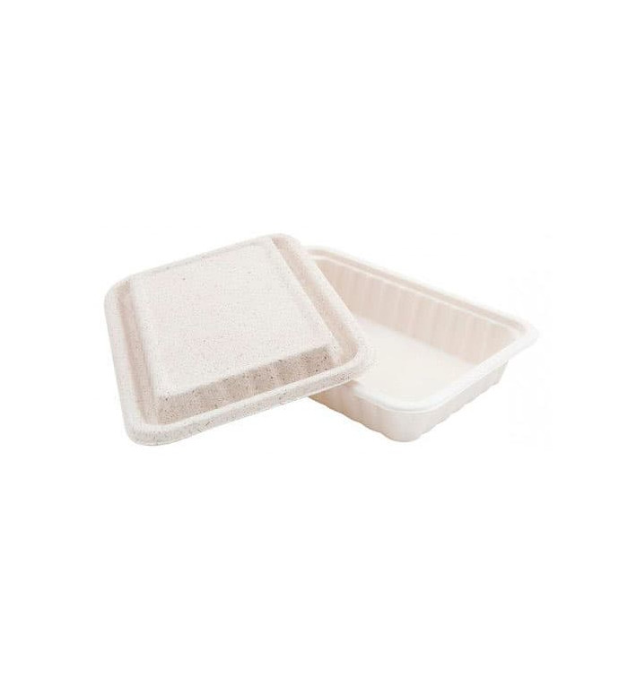 Sugarcane Container with Lid White 22,5x15x4cm (500 Units)