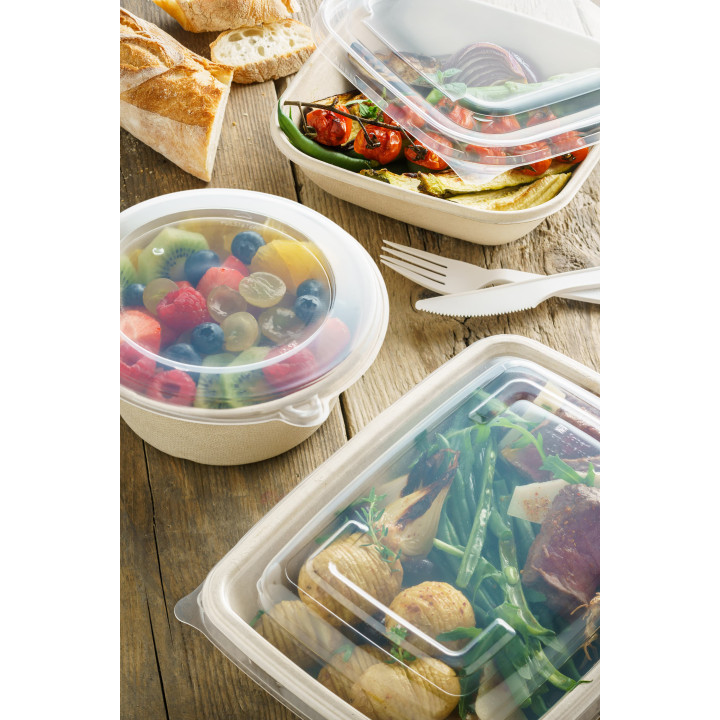 Plastic Lid PP for Container 23x16,5cm (50 Units) 