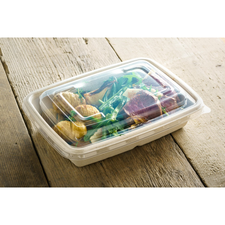 Plastic Lid PP for Container 23x16,5cm (150 Units)