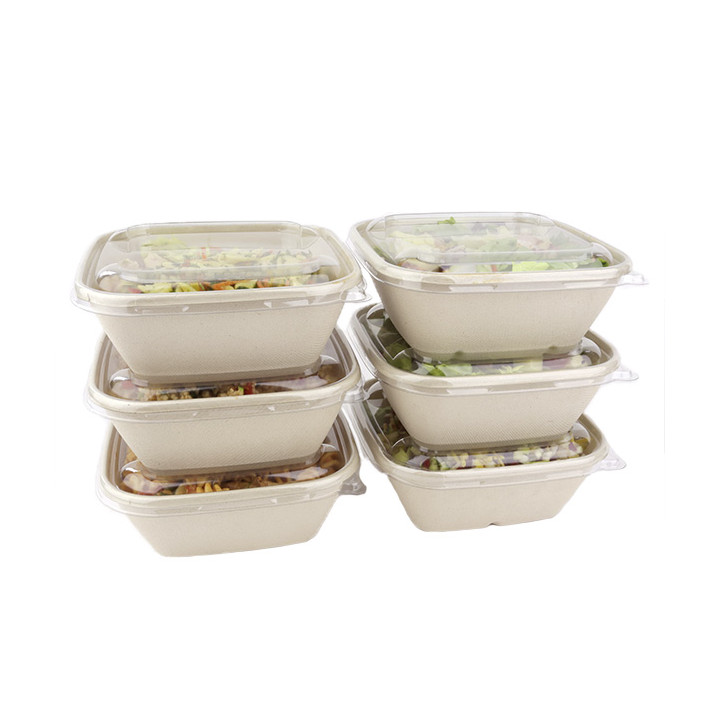 Sugarcane Bowl 1000ml 17x17x7cm (50 Units) 