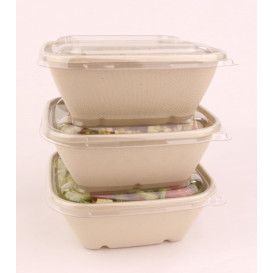 Plastic Lid PP Clear for Bowl 17x17cm (300 Units)