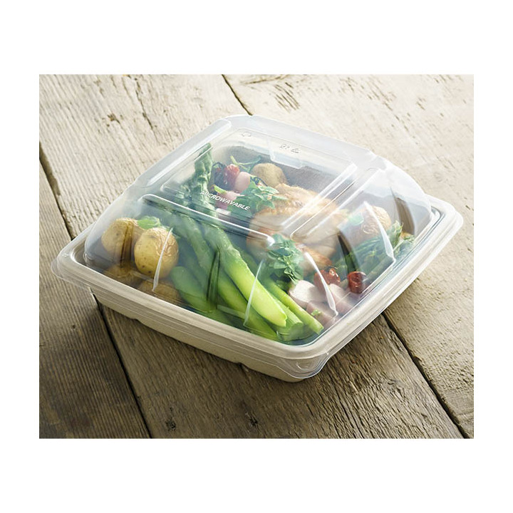 Plastic Dome Lid PP for Container 23x23cm (300 Units)