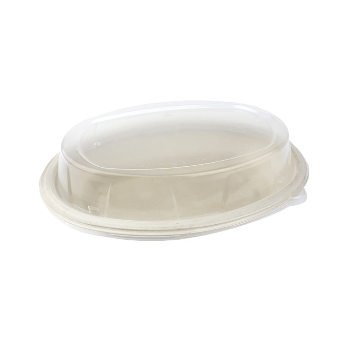 Plastic Dome Lid PP for Tray 24x17cm (50 Units) 